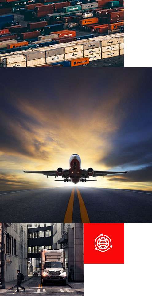 Soluciones logísticas en MBE Balmes